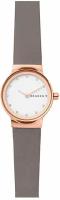 Наручные часы SKAGEN SKW2669