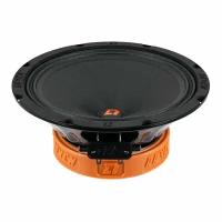 Эстрадная акустика DL Audio Raven 200 V.2