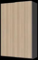 Шкаф-купе для одежды ИКЕА ПАКС / ХАСВИК, (ШхГхВ): 150х66х236 см, черно-коричневый/под беленый дуб