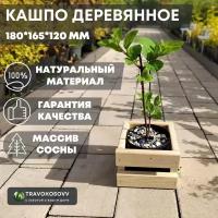 Кашпо вазон деревянное для цветов деревьев растений. Размеры: 185х165х120 мм