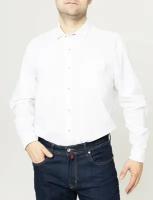 Рубашка Pierre Cardin, размер (52)XL, черный