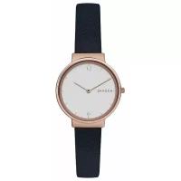 Наручные часы Skagen SKW2608