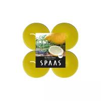 Набор свечей Spaas Maxi Southern Citrus