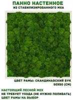 Панно из стабилизированно мха GardenGo в рамке цвета скандинавский бук, 50х50 см, цвет мха зеленый