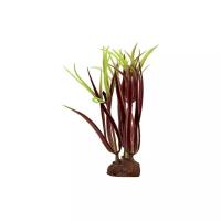 Искусственное растение ArtUniq Лагаросифон мадагаскарский красный 10 см, набор 6 шт