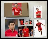 Бокс Роберт Левандовский, Robert Lewandowski №8