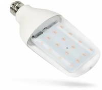 Лампа светодиодная для растений Uniel E27 12W прозрачная LED-B82-12W/SPBR/E27/CL PLP33WH UL-00007647