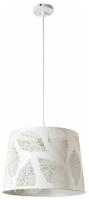 Потолочный светильник Arte Lamp Celesta A2768SP-1WH