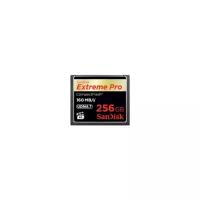 Карта памяти SanDisk Compact Flash 256 ГБ, R/W 160/140 МБ/с, 1 шт, черный