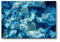 Модульная картина Коралловые рифы 30x20
