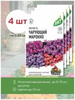 Семена цветов Обриеты Чарующий Морокко, 4 уп. по 0,03 гр, Гавриш, многолетников, растения, цветы для сада, дачи