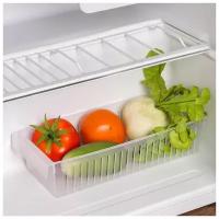 Контейнер для холодильника Доляна, 29,5×13×7 см, цвет прозрачный