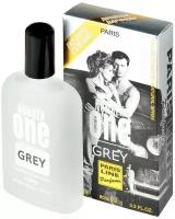 Paris Line Parfums Number One Grey туалетная вода 100 мл для мужчин