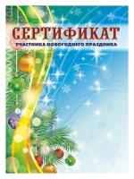 Сертификат участника новогоднего праздника (детский)