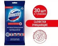 Салфетки влажные Domestos Антибактериальные для очищения поверхностей 30шт