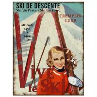 Декоративная табличка Ski de descente Antic Line, SEB16321