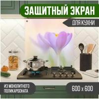 Защитный экран для кухни 600 х 600 х 3 мм 