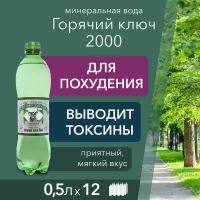 Вода Горячий Ключ 2000. Объем 0,5л*12. Вода минеральная газированная природная целебная лечебная, выводит токсины, для детей