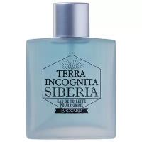 Brocard Мужской Terra Incognita Siberia Туалетная вода (edt) 100мл