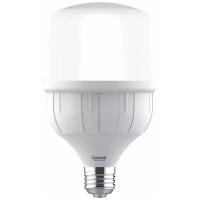 Лампа светодиодная GENERAL LIGHTING 660005, E27, HP