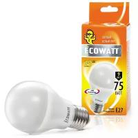 Лампа светодиодная Ecowatt 230V 2700K Warm White, E27, A60, 9Вт, 2700 К