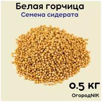 Горчица Белая сидерат 0.5 кг