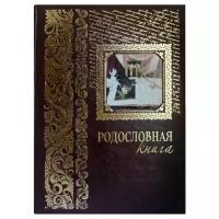 Родословная книга (подарочное издание)