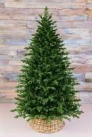 Искусственная елка Шервуд Премиум 185 см, литая + ПВХ, Triumph Tree 73370