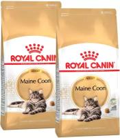 ROYAL CANIN MAINE COON ADULT для взрослых кошек мэйн кун (10 + 10 кг)