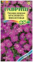 Семена Гавриш Альпийская горка Гвоздика амурская Красновато-фиолетовая 0,05 г