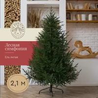 Ель искусственная литая Лесная Симфония 2,1 м / Бренд Max Christmas