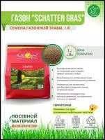 Семена газонной травы Schatten Gras, 1 кг 2277552