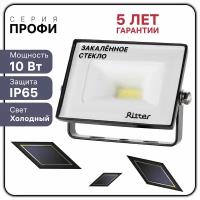 Прожектор светодиодный PROFI 10Вт, 180-240В, IP65, 6500К, 1000Лм, черный, Ritter, 53405 5