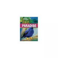 Birds in Paradise. Audio CD