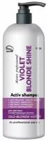 Frezy Grand Шампунь для нейтрализации жёлтого оттенка / Violet Blonde Shine 5.0, 1000 мл