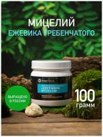 Мицелий ежовика гребенчатого, 100г. Dope Nature