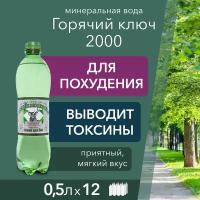 Вода Горячий Ключ 2000. Объем 0,5л*12. Вода минеральная питьевая газированная природная целебная лечебная, выводит токсины, для детей