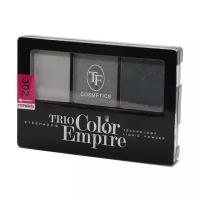 TF Cosmetics Палетка теней Trio Color Empire 302 графит