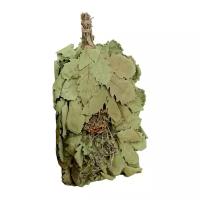 Добропаровъ Веник для бани Экстра из кавказского дуба с букетом из трав 55 см 0.26 кг пихта зеленый