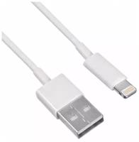 Кабель Buro USB - Apple Lightning (BHP)