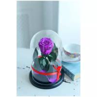 Стабилизированная роза в колбе Therosedome Mini 6 см, фиолетовая