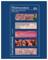 Набор клеящихся закладок-стикеров Florescence