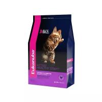 Сухой корм для котят Eukanuba Kitten Healthy start, с курицей, 2 шт. х 400 г