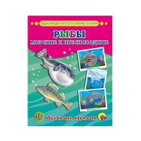 Обучающие карточки 170х220 (Проф-Пресс) 3 обучающие карточки. Рыбы морские И пресноводные