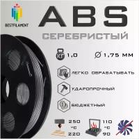 ABS Серебристый Металлик 1000 гр. 1.75 мм пластик Bestfilament для 3D-принтера