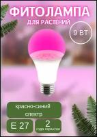 Фитолампа для растений и рассады красно-синий спектр Е27 9W