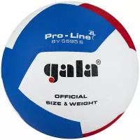 Мяч волейбольный GALA Pro-Line 12 арт. BV5595SA, р. 5, синт. кожа ПУ Microfiber белый, голубой