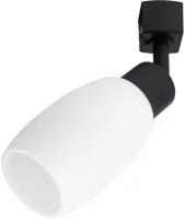 Трековый светильник Arte Lamp Miia A3055PL-1BK