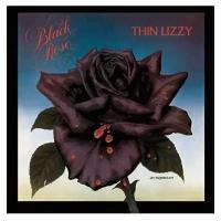 Виниловые пластинки, Vertigo, THIN LIZZY - Black Rose (LP)