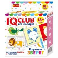 IQ club для малышей 
